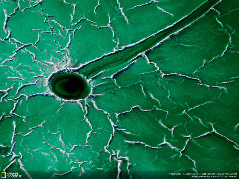Illustration for article titled The Coolest Images From National Geographic's 2015 Photo Contest
